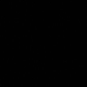 Meet your Posher, Parker